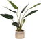 LABEL51 Kunstplant Strelitzia 70x70x100 cm - Groen - Kunststof