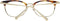 Ladies' Spectacle frame Omega OM5009-H 49052