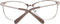 Ladies' Spectacle frame Ted Baker TB2255 54905