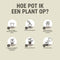 Pokon Hydrokorrels - 10l - Kleikorrels - Goede drainage