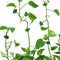 Multifunctionele Plantenclips - Voor Klimplanten en Wanddecoratie - 60 Stuks, Groen & Wit, voor Tuin en Thuis