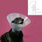 Lampenkap voor honden KVP Betsy Transparant (33-41 cm)
