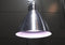 Lampenkap voor Parus E27 LED verlichting