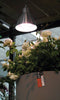 Lampenkap voor Parus E27 LED verlichting