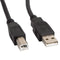 Lanberg - Lanberg printerkabel USB A male naar USB B male 5 m zwart CA-USBA-10CC-0050-BK