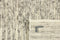 Landscape River Beige 1018 Vloerkleed - 170x240 - Rechthoek - Laagpolig,Structuur Tapijt - Modern - Beige, Taupe