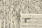 Landscape River Beige 1018 Vloerkleed - 200x300 - Rechthoek - Laagpolig,Structuur Tapijt - Modern - Beige, Taupe