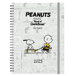 Lannoo Graphics 2025 jaaragenda - 170 x 230mm - met metalen spiraal - reeks: Peanuts - design: SKATING SNOOPY