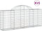 vidaXL - Schanskorven - 15 - st - gewelfd - 200x30x80/100 - cm - ijzer