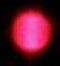 Laserfuchs Puntlaser