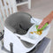 Ingenuity Baby Base 2-in-1 - Kinderstoel en Stoelverhoger - Inclusief blad en 3-punts gordel - Grijs