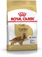 Royal Canin Cocker Adult - Hondenvoer - 12 kg