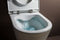 Laufen Pro - wc bril/closetzitting antibacterieel met softclose en RVS scharnieren - wit