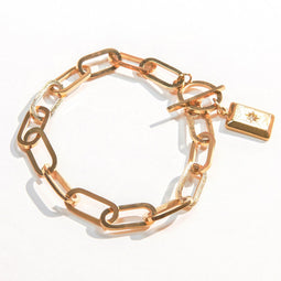 Laura Ferini Dames Armband Ruvido - kleurige Schakelarmband - 18K Geel Verguld - Sieraad - Accessoires - Sieraden - Dames Armbandje