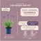 Lavandula angustifolia Felice 24x - Ø12 cm - 25 cm