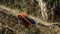 RC Auto Nikko VelociTrax: Oranje - Bestuurbare auto