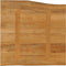 vidaXL - Tafelblad - met - natuurlijke - rand - 60x60x3,8 - cm - massief - mangohout