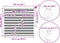 vidaXL - Zebra - rolgordijn - 165x150 - cm - stofbreedte - 160,9 - cm - donkergrijs