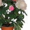 Mica Decorations Pioenroos Kunstplant in Bloempot Campana - H50 x Ø45 cm - Zalmroze