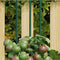 vidaXL - Plantenstaken - 30 - st - 180 - cm - staal - groen