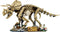 LEGO® Jurassic World - Dinosaurusfossielen: Triceratops (77985) - 1154 onderdelen - 1 minifiguur
