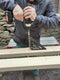 Hultafors rafter speed square GROOT 0-90 graden lemmetlengte 300mm (257040)