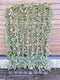 Hedera Hibernica - Klimop - Kant-en-Klaar Haag | 120cm - ↨180 cm