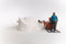 schleich WILD LIFE Antarctic Expedition - Speelfigurenset - Kinderspeelgoed voor Jongens en Meisjes - 3 tot 8 jaar - 42624