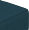 vidaXL - Slaapbank - 2-zits - met - 2 - kussens - fluweel - blauw