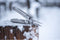 Leatherman Wave®+ multitool - 18 functies - zilver - Allrounder