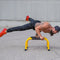Lebert Parallettes Zwart - Push Up Grips - Calisthenics - Push Up Bars - Opdruksteunen