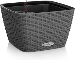 LECHUZA BACINO Cottage - Plantenbak - met uitneembare binnenbak - met bewateringssysteem - ALL-IN-ONE set met LECHUZA-PON - graniet