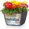 LECHUZA BACINO Cottage - Plantenbak - met uitneembare binnenbak - met bewateringssysteem - ALL-IN-ONE set met LECHUZA-PON - mokka