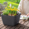 LECHUZA BACINO Cottage - Plantenbak - met uitneembare binnenbak - met bewateringssysteem - ALL-IN-ONE set met LECHUZA-PON - grafietzwart