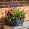 LECHUZA BACINO Cottage - Plantenbak - met uitneembare binnenbak - met bewateringssysteem - ALL-IN-ONE set met LECHUZA-PON - wit