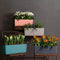 LECHUZA BALCONERA Color 50 - Plantenbak - met uitneembare binnenbak - met bewateringssysteem - ALL-IN-ONE set met LECHUZA-PON - muskaat
