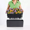 LECHUZA BALCONERA Color 50 - Plantenbak - met uitneembare binnenbak - met bewateringssysteem - ALL-IN-ONE set met LECHUZA-PON - muskaat