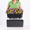 LECHUZA BALCONERA Color 50 - Plantenbak - met uitneembare binnenbak - met bewateringssysteem - ALL-IN-ONE set met LECHUZA-PON - pastel groen