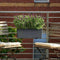LECHUZA BALCONERA Color 50 - Plantenbak - met uitneembare binnenbak - met bewateringssysteem - ALL-IN-ONE set met LECHUZA-PON - zandbruin