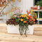 LECHUZA BALCONERA Color 50 - Plantenbak - met uitneembare binnenbak - met bewateringssysteem - ALL-IN-ONE set met LECHUZA-PON - licht grijs
