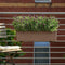 LECHUZA BALCONERA Color 80 - Plantenbak - met uitneembare binnenbak - met bewateringssysteem - ALL-IN-ONE set met LECHUZA-PON - muskaat