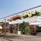 LECHUZA BALCONERA Color 80 - Plantenbak - met uitneembare binnenbak - met bewateringssysteem - ALL-IN-ONE set met LECHUZA-PON - muskaat