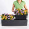 LECHUZA BALCONERA Color 80 - Plantenbak - met uitneembare binnenbak - met bewateringssysteem - ALL-IN-ONE set met LECHUZA-PON - muskaat