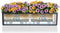 LECHUZA BALCONERA Color 80 - Plantenbak - met uitneembare binnenbak - met bewateringssysteem - ALL-IN-ONE set met LECHUZA-PON - muskaat
