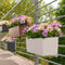 LECHUZA BALCONERA Color 80 - Plantenbak - met uitneembare binnenbak - met bewateringssysteem - ALL-IN-ONE set met LECHUZA-PON - licht grijs