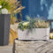 LECHUZA BALCONERA Cottage 50 - Plantenbak - met uitneembare binnenbak - met bewateringssysteem - ALL-IN-ONE set met LECHUZA-PON - zandbruin