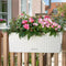 LECHUZA BALCONERA Cottage 50 - Plantenbak - met uitneembare binnenbak - met bewateringssysteem - ALL-IN-ONE set met LECHUZA-PON - grafietzwart