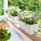 LECHUZA BALCONERA Cottage 50 - Plantenbak - met uitneembare binnenbak - met bewateringssysteem - ALL-IN-ONE set met LECHUZA-PON - mokka