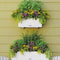 LECHUZA BALCONERA Cottage 50 - Plantenbak - met uitneembare binnenbak - met bewateringssysteem - ALL-IN-ONE set met LECHUZA-PON - graniet