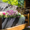 LECHUZA BALCONERA Cottage 50 - Plantenbak - met uitneembare binnenbak - met bewateringssysteem - ALL-IN-ONE set met LECHUZA-PON - lichtgrijs